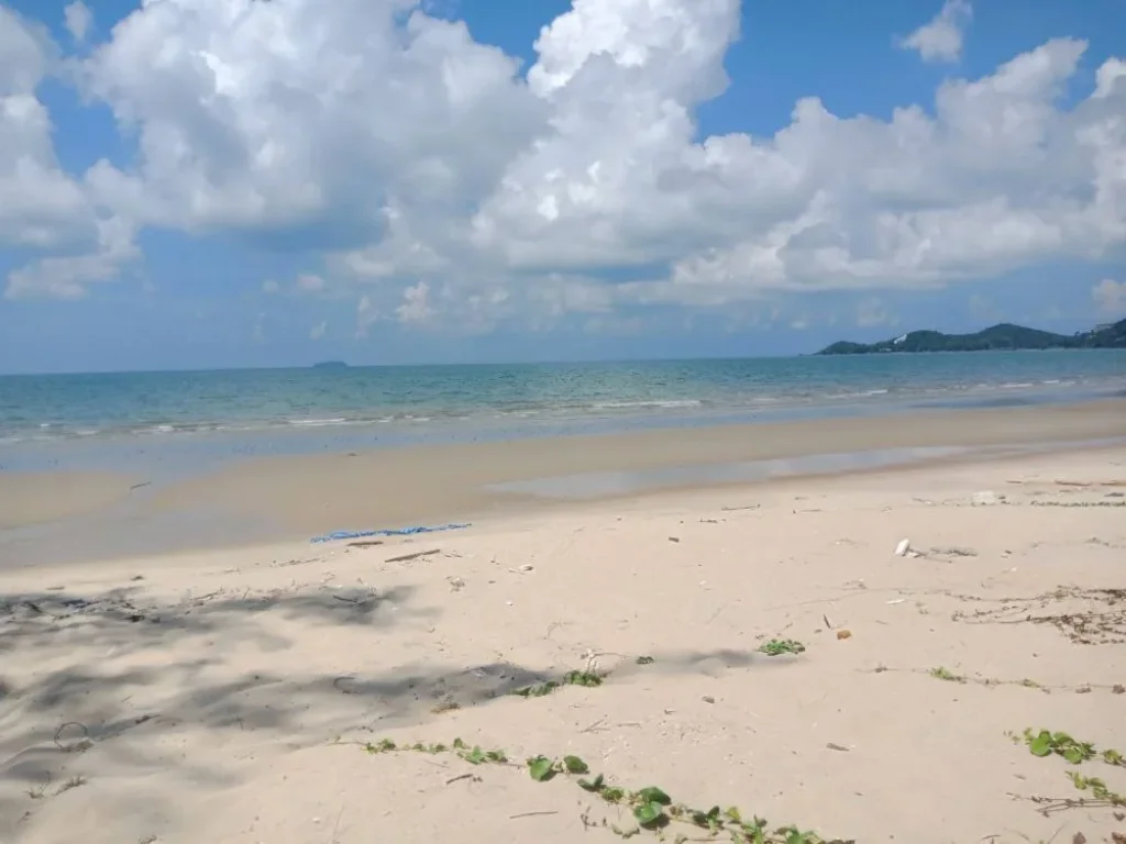 ขายที่ดินติดทะเลทรายขาวสะอาด บรรยากาศส่วนตัว หาดส่วนตัวเนื้อที่อแกลง จังหวัดระยอง