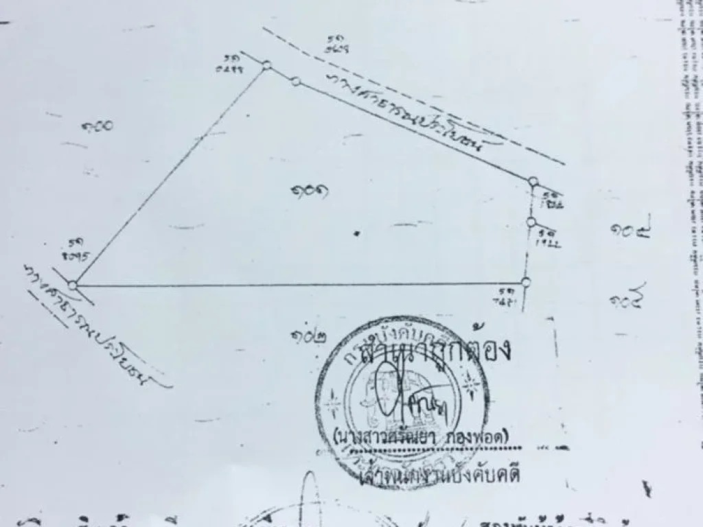 ที่ดิน เปล่า 33 ไร่ ห่างจากทางลาดยาง ทางหลวงหมายเลข 2280 120 เมตร ตำบลทุ่งแก อำเภอเจริญศิลป์ จังหวัดสกลนคร