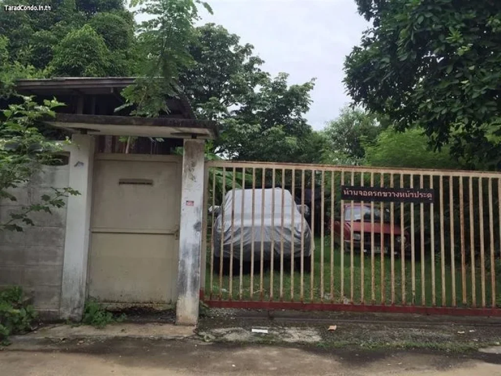 LS074 Land For Sale Suksun Viphawadee 58 18000000THB