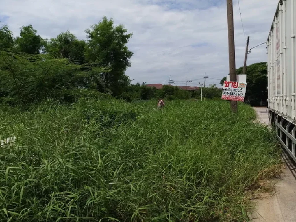 ที่ดิน หมู่บ้านชาวฟ้า ลำลูกกา 1118คลอง 2 อลำลูกกา จปทุมธานี