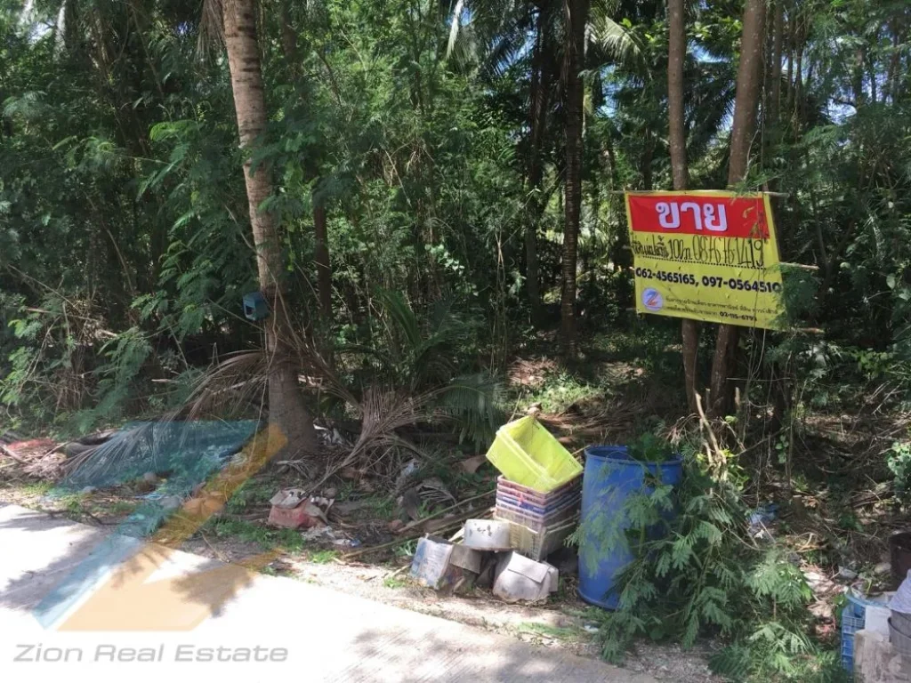 ขายที่ดินสวย 100 ตรว หลังสหกรณ์บ้านแพ้ว