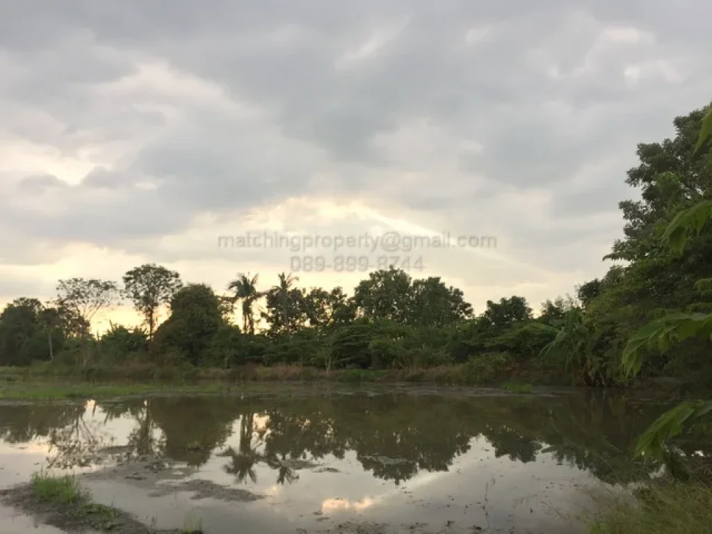 ขายที่ดิน 17 ไร่ นนทบุรี บางใหญ่ ซอยแก้วอินทร์ คลองเสือปลา บางแม่นาง พื้นที่สีเหลือง ทำเลดี