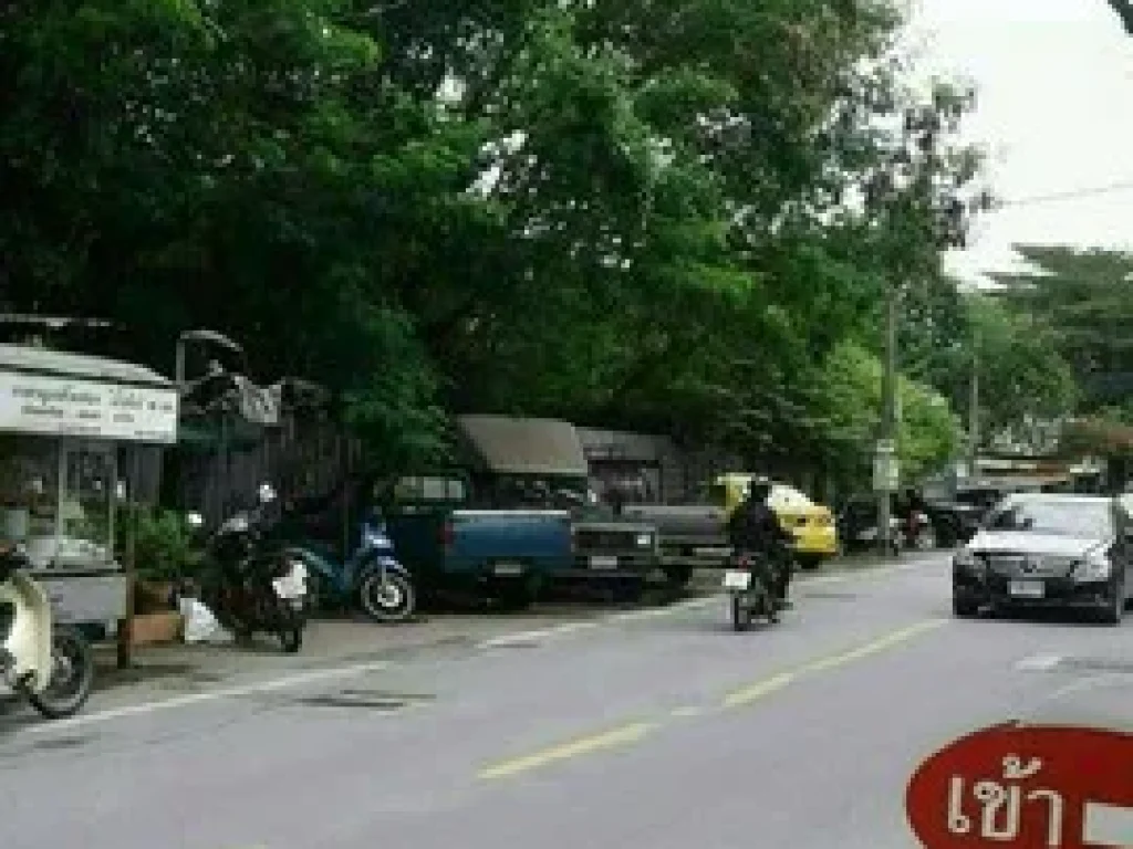 ขาย ที่ดิน สุขุมวิท 81 315 ตรว ใกล้ BTS อ่อนนุช สุขุมวิท 81