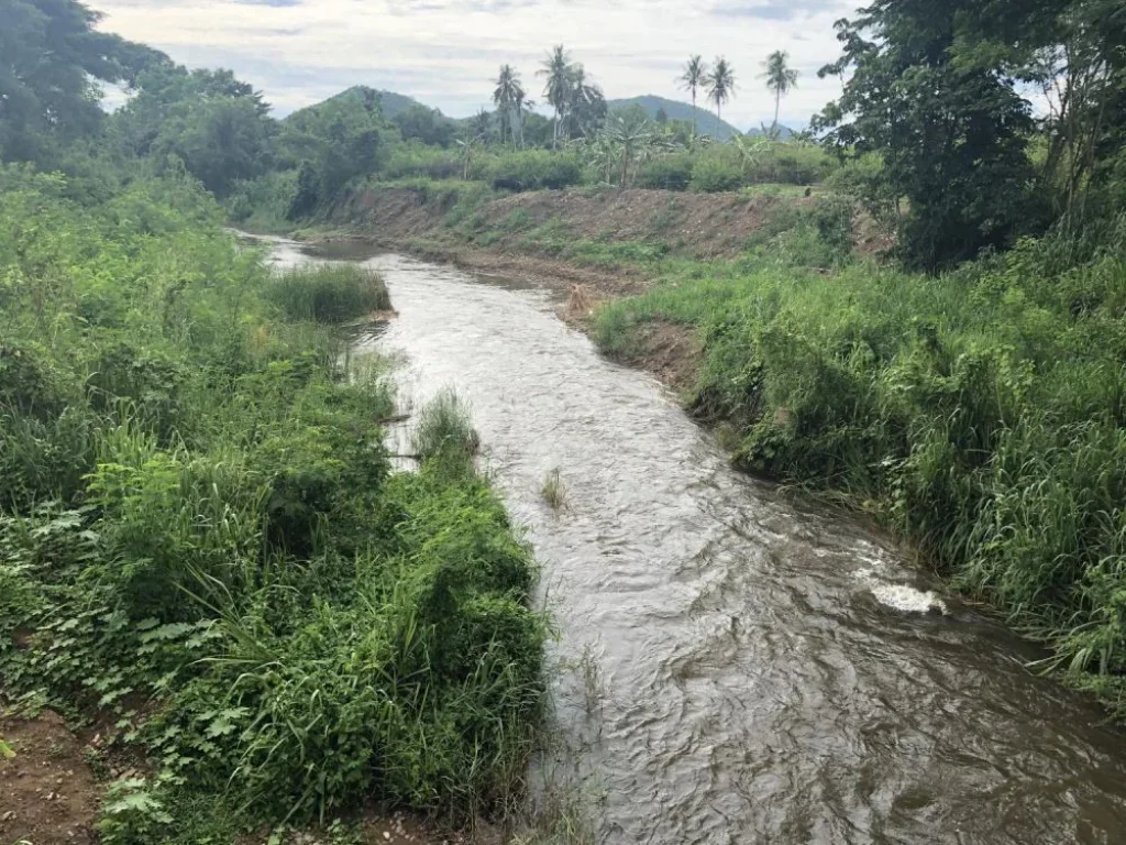 ที่ดิน 10 ไร่ ติดน้ำ ด้านหน้าติดถนนลาดยาง ใกล้รีสอร์ท ทำเลสวย