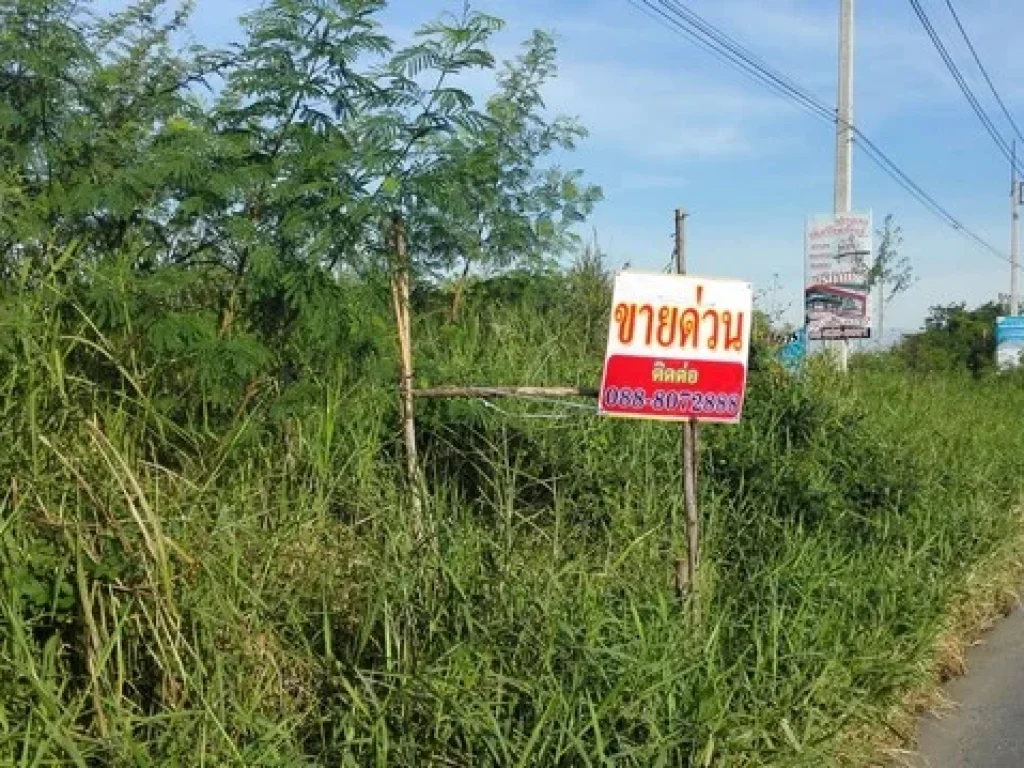 ที่ดินปล่าว แบ่งขาย ใกล้ถนนคลองหลวง เพียง500เมตร หลังแมคโครคลองหลวง เหมาะสร้างCondo ห้างสรรพสินค้า อยู่หลังแมคโคร