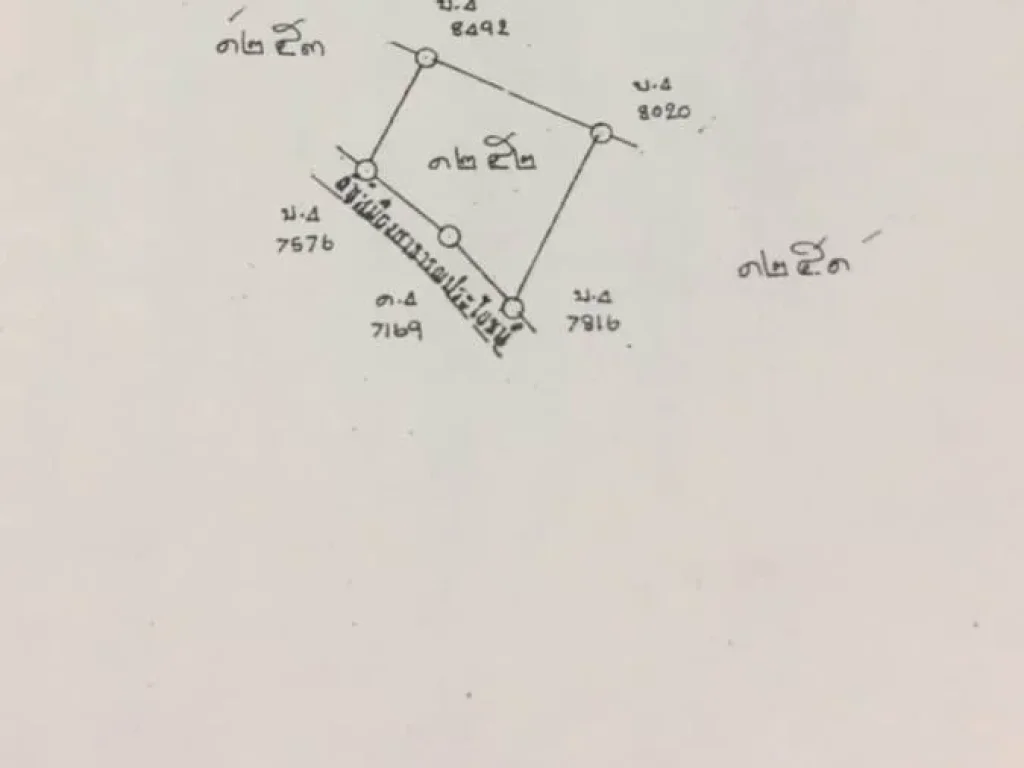 ขายสวนลำใยแม่ฮ้อยเงิน ดอยสะเก็ต ราคาถูก