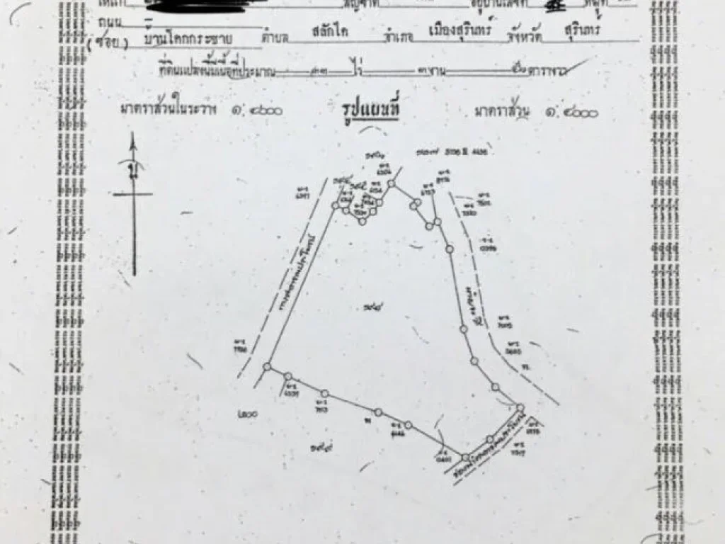 ขายที่ดิน มีโฉนด ยกแปลง ทำเลทอง อำเภอเมือง จังหวัดสุรินทร์