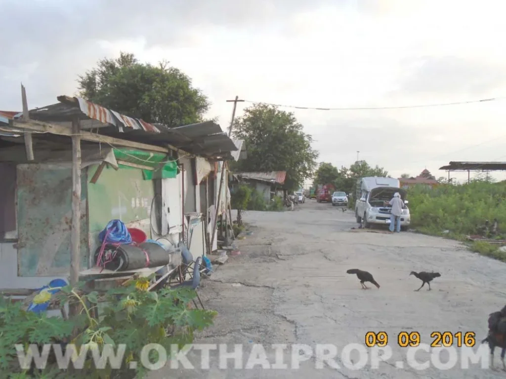 ที่ดิน 94 ตรว ถคลองถนน บางใหญ่ นนทบุรี