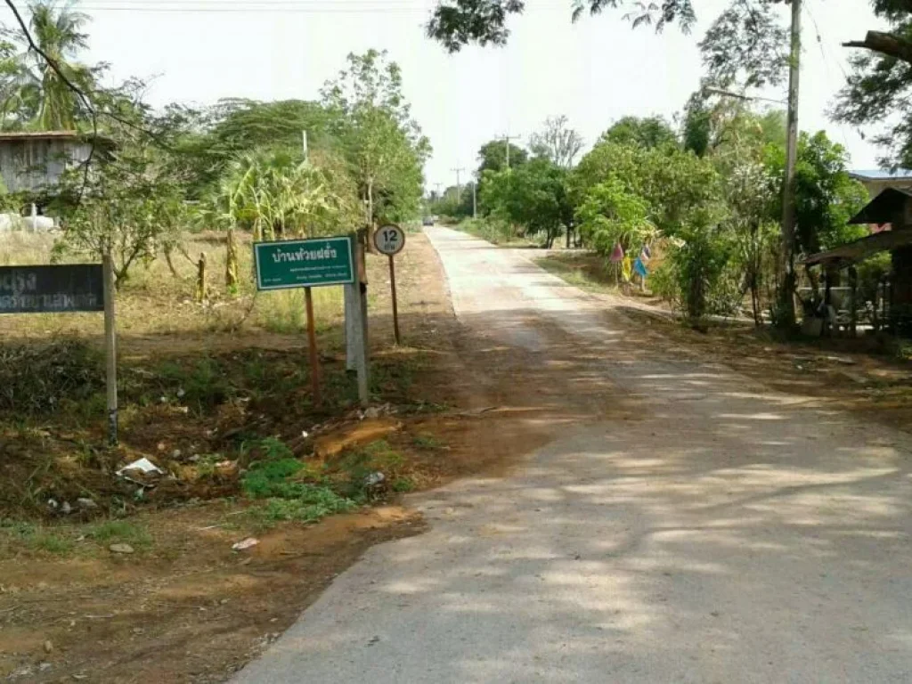 ขายที่ดิน 22 ไร่ บ้านดงลาน ถนนสาย 205 ตวะตะแบก อเทพสถิต จชัยภูมิ