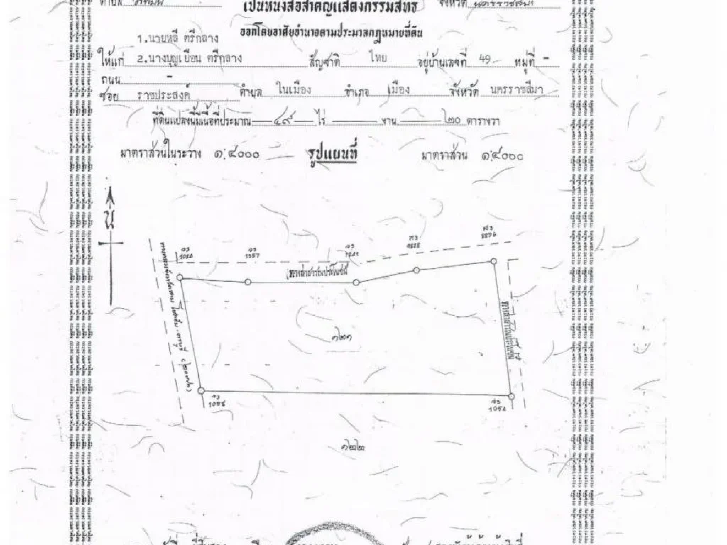 ชายที่ดิน 167 ไร่