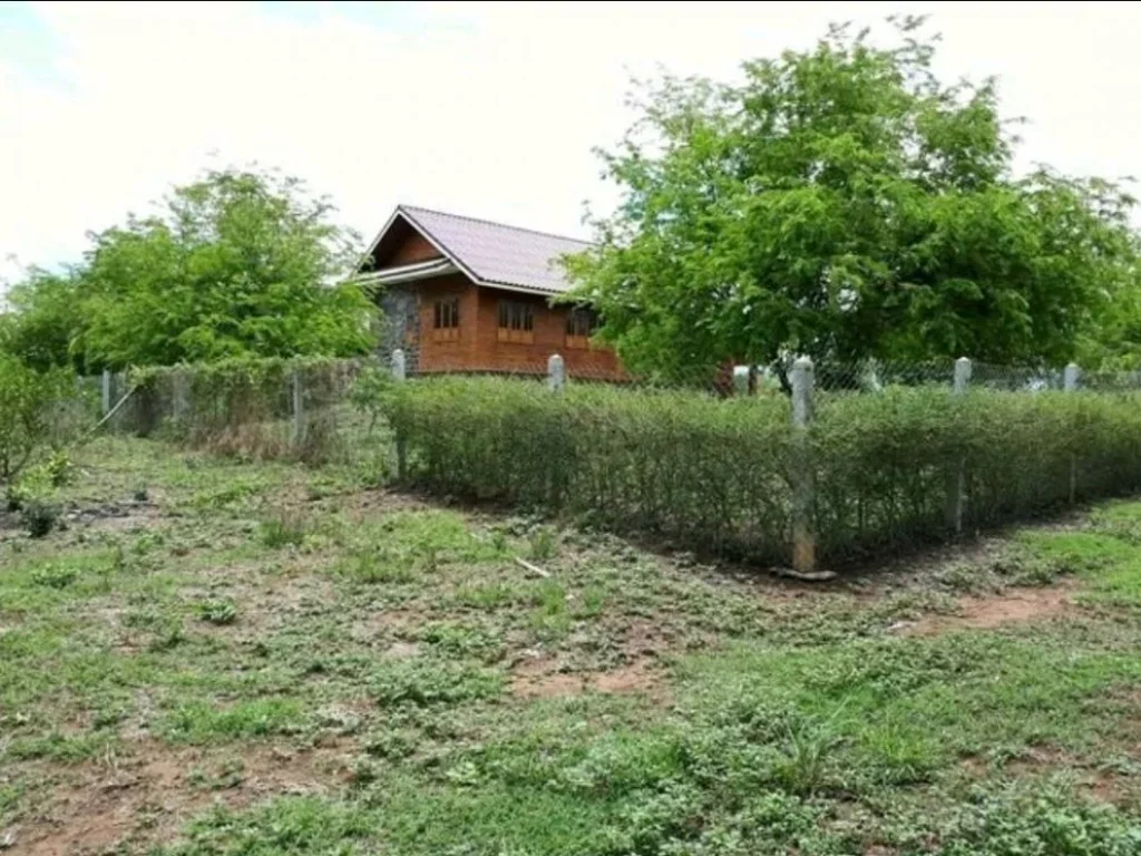 ขายที่ดินตำบลนางั่ว จังหวัดเพชรบูรณ์