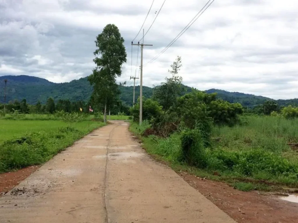 ขายที่ดินแปลงเล็กติดเขาติดคลองโฉนด 50 ตรว100ตรว มี 2 แปลง น้ำไฟพร้อม มีเพื่อนบ้าน ใกล้ รร เตรียมทหาร น้ำตกกะอาง น้ำตกเจ็ดคต วัดป่าสว่างบุญ ต เขาเพิ