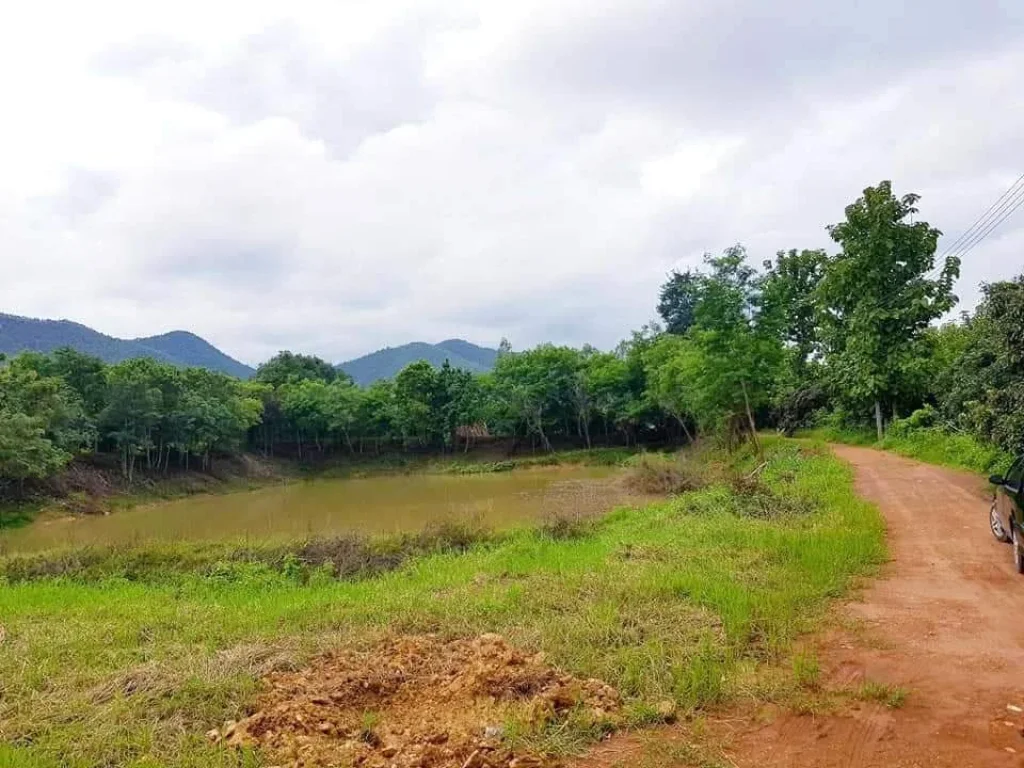 ขายที่ดินออนใต้ ถนนคอนกรีต วิวภูเขา สันกำแพง ราคาถูก