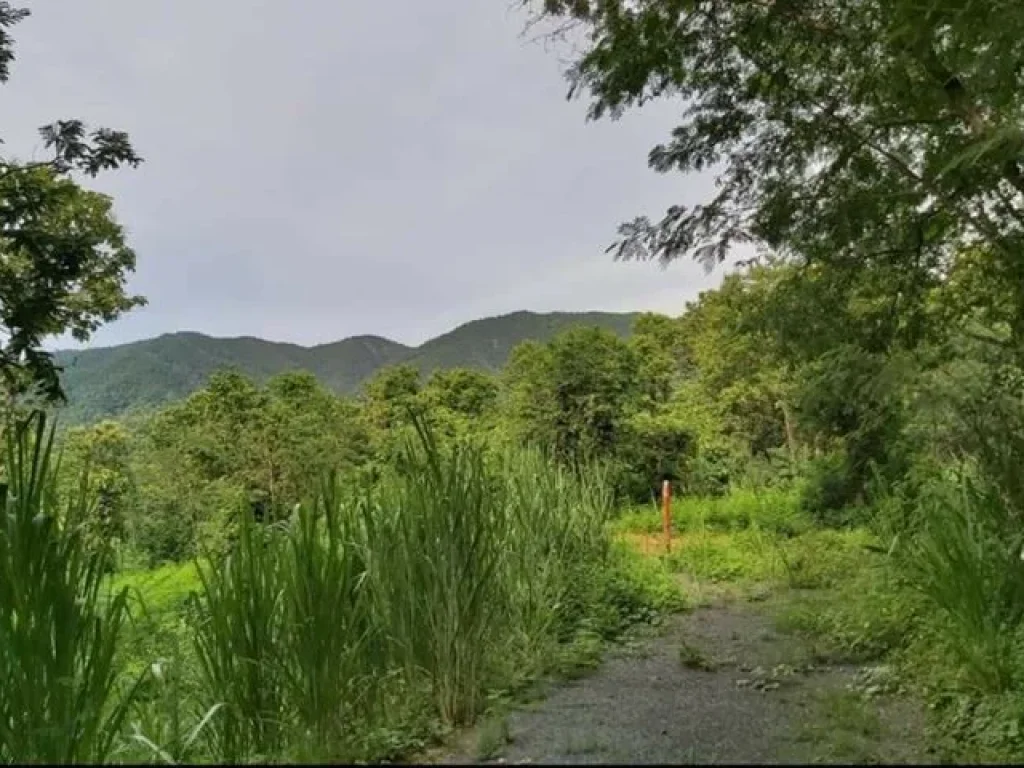 ขายที่ดินแปลงสวย วิวภูเขา แม่ออน 2 แปลง 6 ไร่กว่า Land for sale on hill Chiang Mai