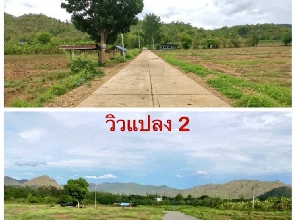 ขายที่ดินราคาพิเศษ เหมาะกับชีวิตวัยเกษียณ อากาศดีได้ธรรมชาติ