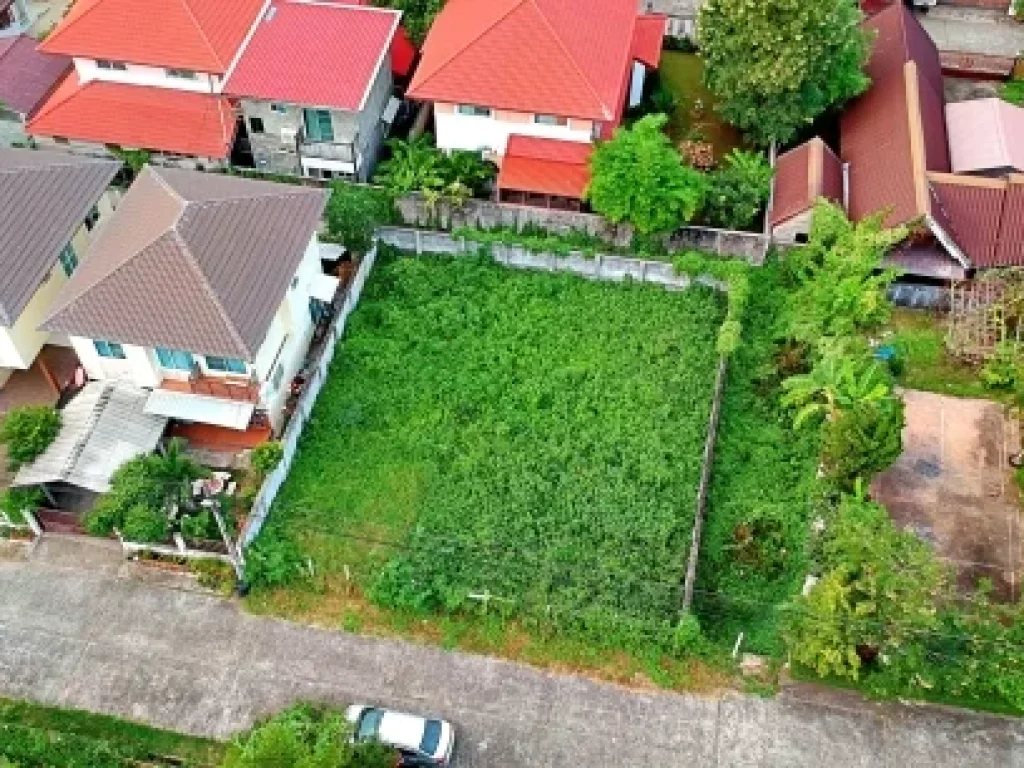 ขายที่ดินในหมู่บ้านสวนนทรี ตำบลหนองจ๊อม อำเภอเมือง จังหวัดเชียงใหม่