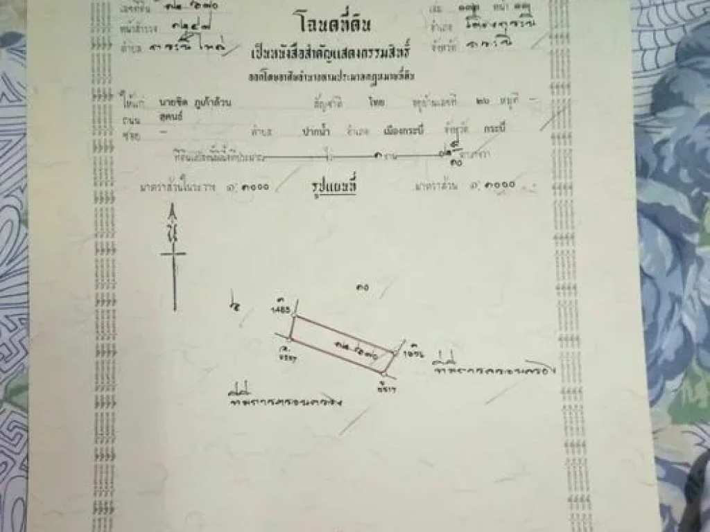 ขายที่ดินจังหวัดกระบี่ 3 งาน 90 ตารางวา ถนนมหาราชแยก ซถนนคุณแม่ ที่ดินสวยมาก