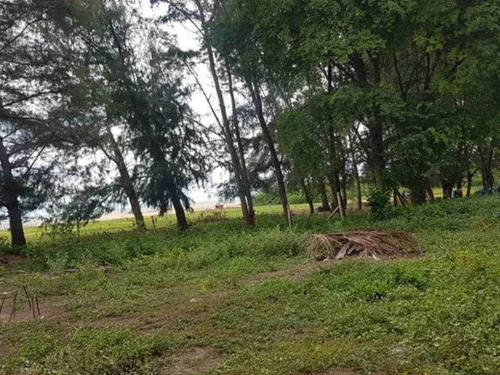 ขายที่ดินพร้อมหาดส่วนตัว ชะอำ 90 ล้านบาท