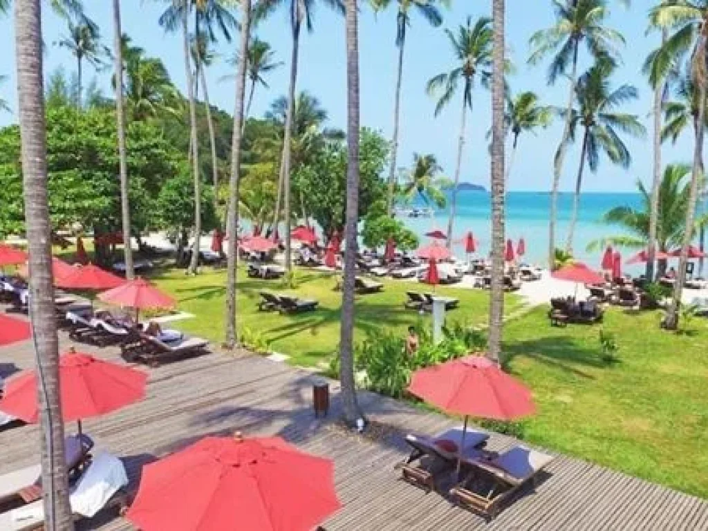 ขายโรงแรม 5 ดาวติดชายหาดส่วนตัวเกาะช้าง ขายที่ดินติดทะเล จตราด