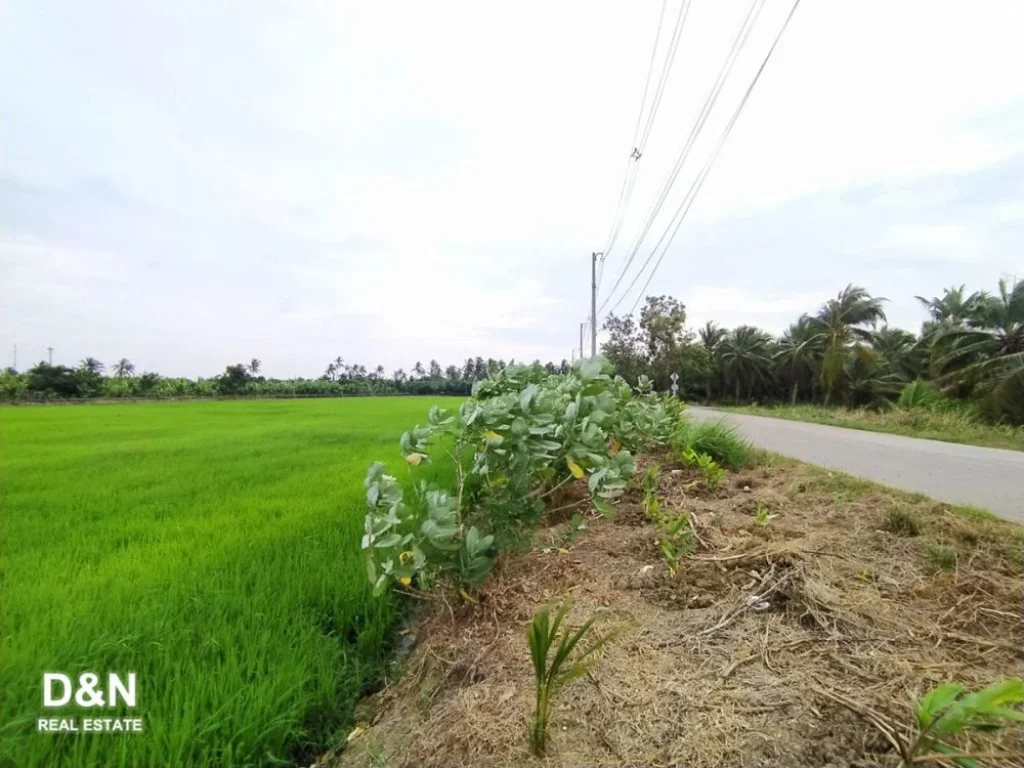 ขาย ที่ดิน 14 ไร่ บ้านเกาะ พันธุวงษ์ สมุทรสาคร แปลงมุม ติดถนน 2 ด้าน มีพื้นที่ติดแม่น้ำท่าจีน