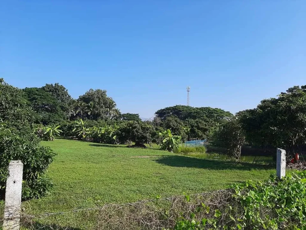 ขายที่ดินล้อมรั้ว ติดถนนลาดยาง สันป่าตองน้ำบ่อหลวง ราคาถูก