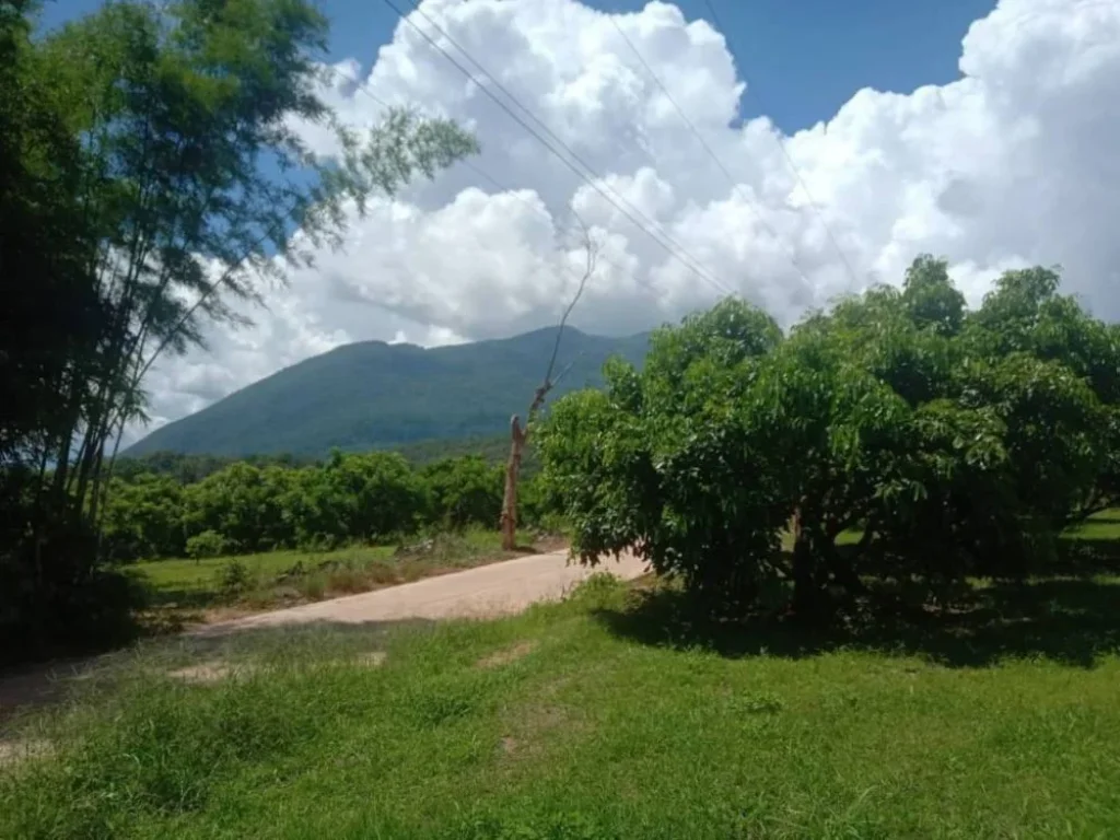 ขายที่ดินเมืองงาย วิวดอยหลวง โฉนด นส 3ก ราคาถูก