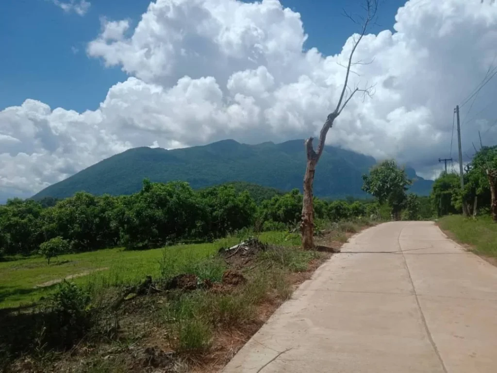 ขายที่ดินเมืองงาย วิวดอยหลวง โฉนด นส 3ก ราคาถูก