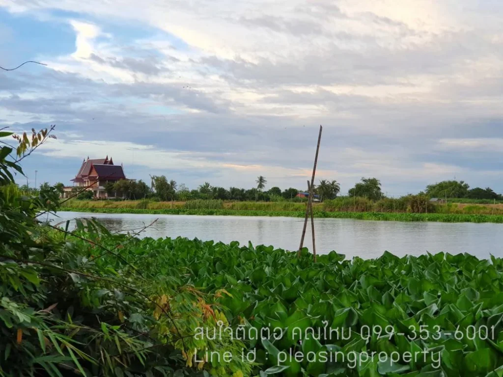 ขายที่ดินสวยริมแม่น้ำท่าจีน ติดถนน วิวสวย ใกล้ กทม 3ไร่ 86ตรวา