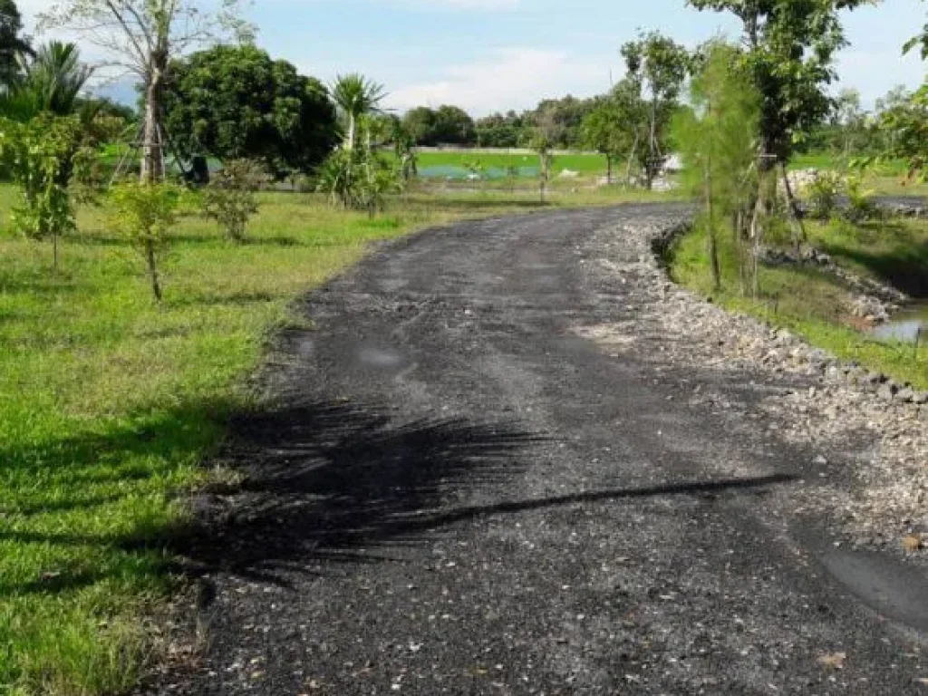 ขายที่ดินทำเลดี ติดถนนราดยาง อยู่ในเขตชุมชน อำเภอสันป่าตอง จังหวัดเชียงใหม่