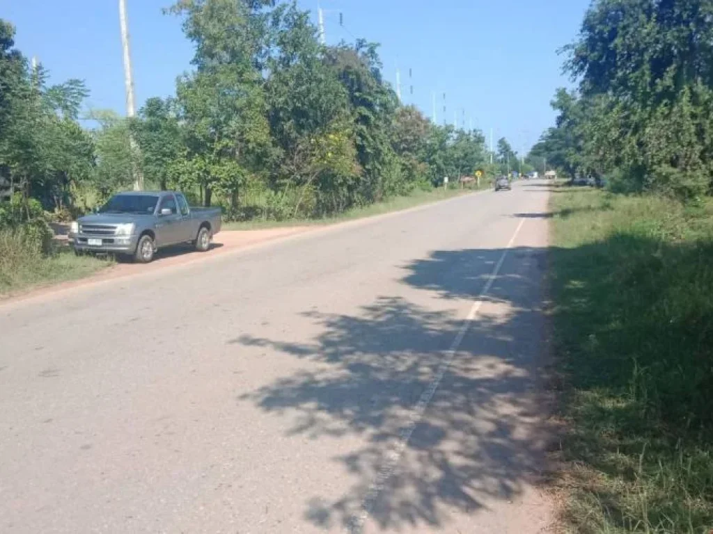 ขายที่ดิน ติดถนนสายเกษตรสมบูรณ์-หนองบัวแดง อเกษตรสมบูรณ์ จชัยภูมิ