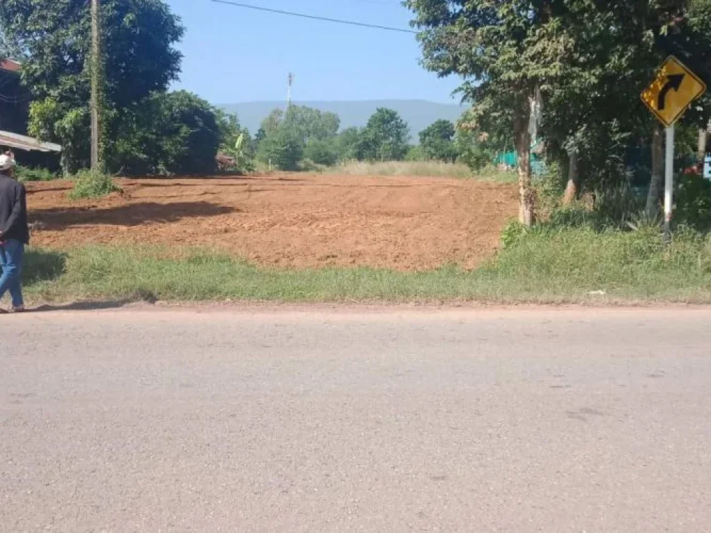 ขายที่ดิน ติดถนนสายเกษตรสมบูรณ์-หนองบัวแดง อเกษตรสมบูรณ์ จชัยภูมิ