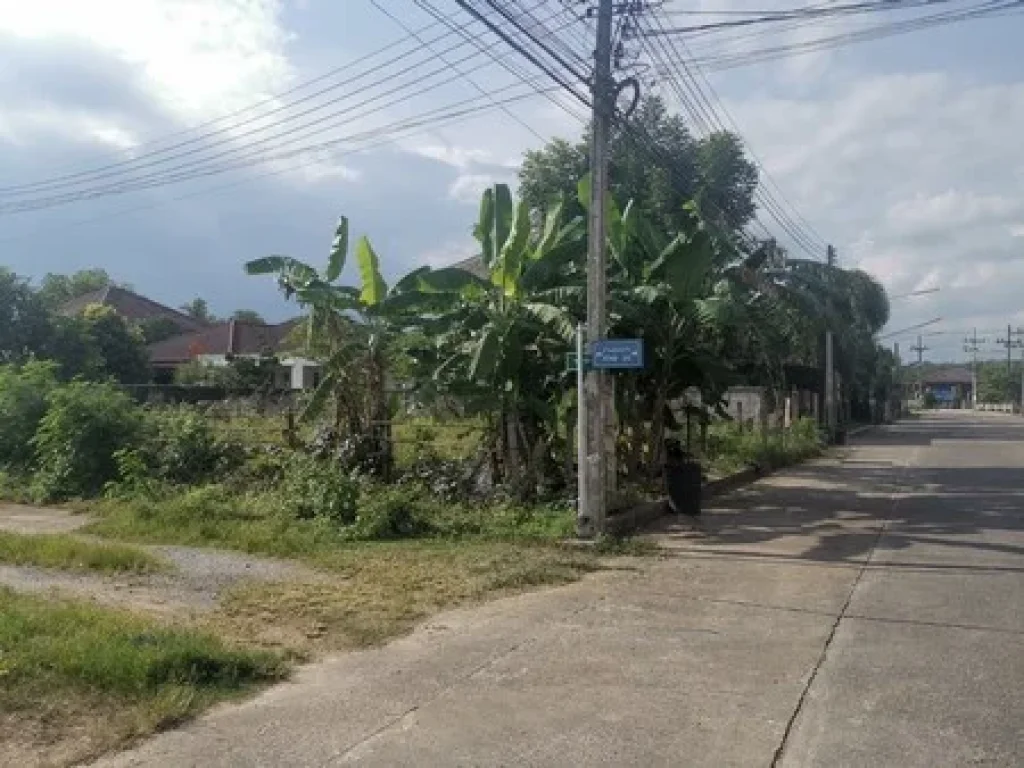 ขายด่วนที่ดินทำเลสวยในหมู่บ้านฉัตรแก้วใกล้สนามบินนานาชาติหาดใหญ่