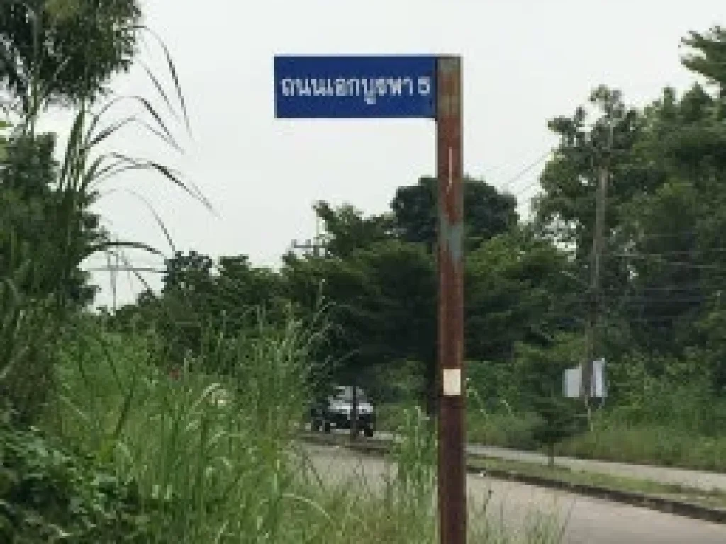 ขาย ที่ดิน ที่ดินเมืองเอก ถูกกว่าราคาประเมิน 1 ไร่ 2 งาน