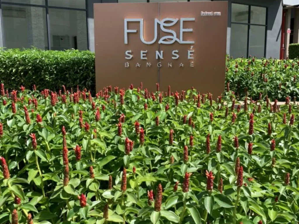 ขาย Fuse Sense Condo Bangkhae