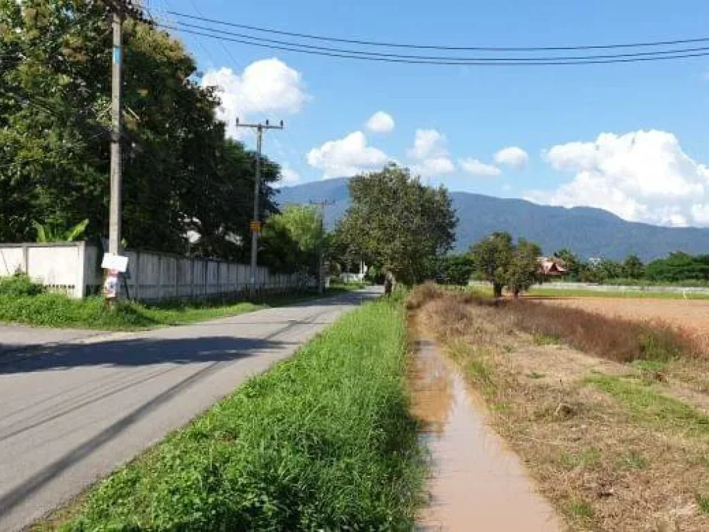 ขายที่ดินวิวดอยหนองควาย ถนนคอนกรีต โฉนดสี่่เหลี่ยม ราคาถูก