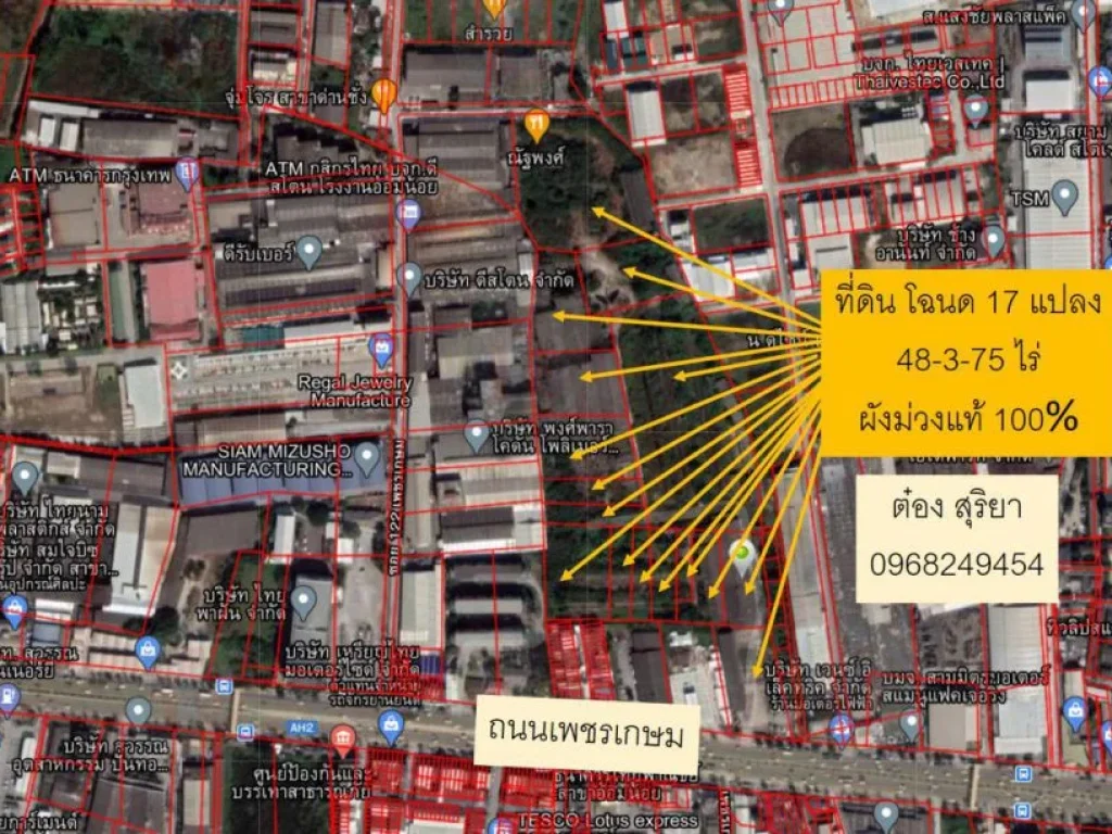 ขายที่ดินสีม่วงแท้ 48-3-75 ไร่ ติดถนนเพชรเกษม อ้อมน้อย แปลงใหญ่ที่สุด