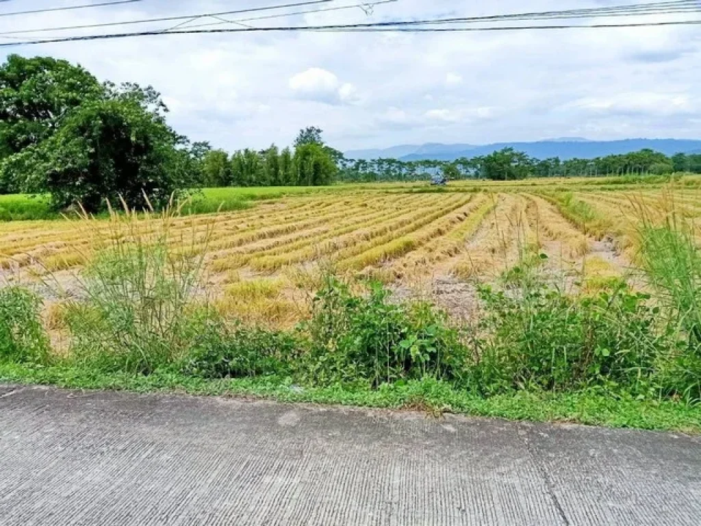 ขายที่ดินแปลงเล็ก โซนไข่แดงของจังหวัด ตั้งแต่ 130 ตรว ตสาริกา อเมือง วิวเขาสวยหลัง แมคโคร ตลาดเท่ง