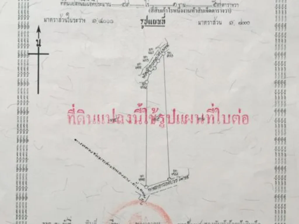 ขายที่ดินสุพรรณบุรี สวนปาล์มตัดผลผลิตได้แล้วและมีต้นสักทองอีก10ไร่