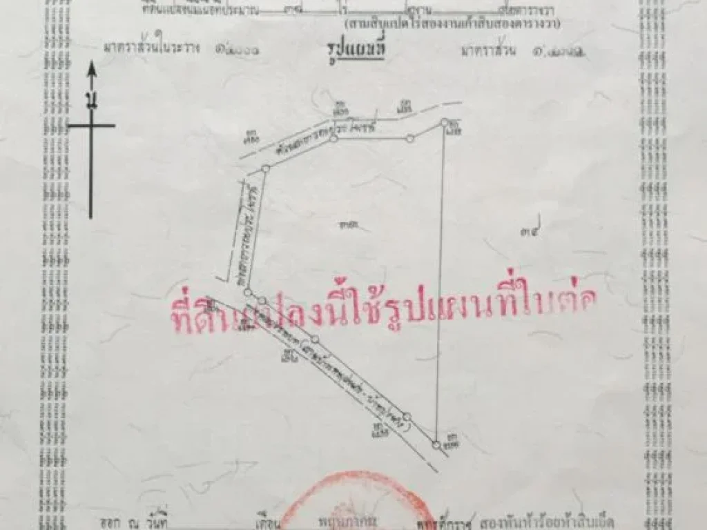 ขายที่ดินสุพรรณบุรี สวนปาล์มตัดผลผลิตได้แล้วและมีต้นสักทองอีก10ไร่