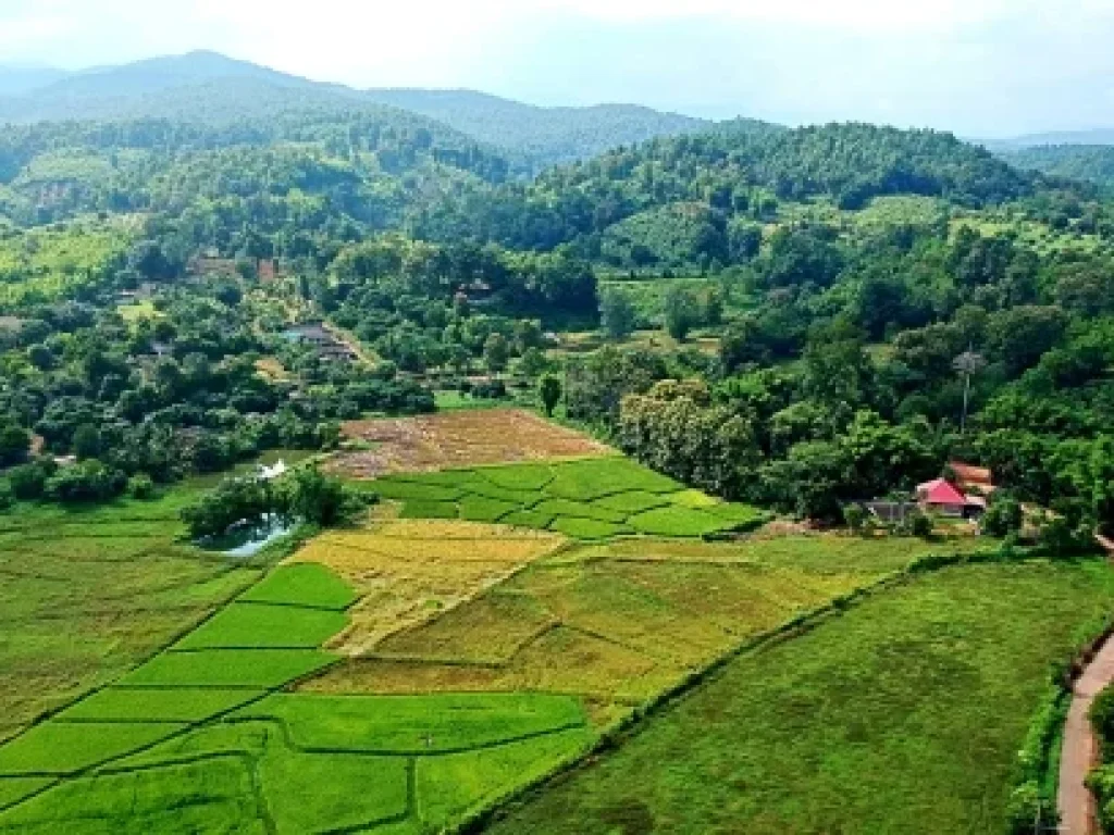 ขายที่ดิน-ที่ราบ-หุบเขา-วิวสวย ตำบลสะลวง อำเภอแม่ริม เชียงใหม่