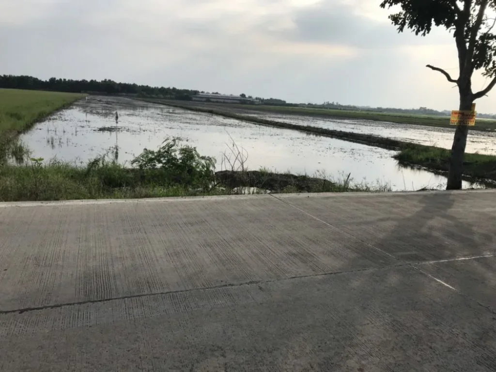 ขายที่ดินสวย สภาพแวดล้อมดี ทำเลดี บรรยากาศร่มรื่น เดินทางสะดวก เข้าออกได้หลายทาง ราคาต่อรองได้