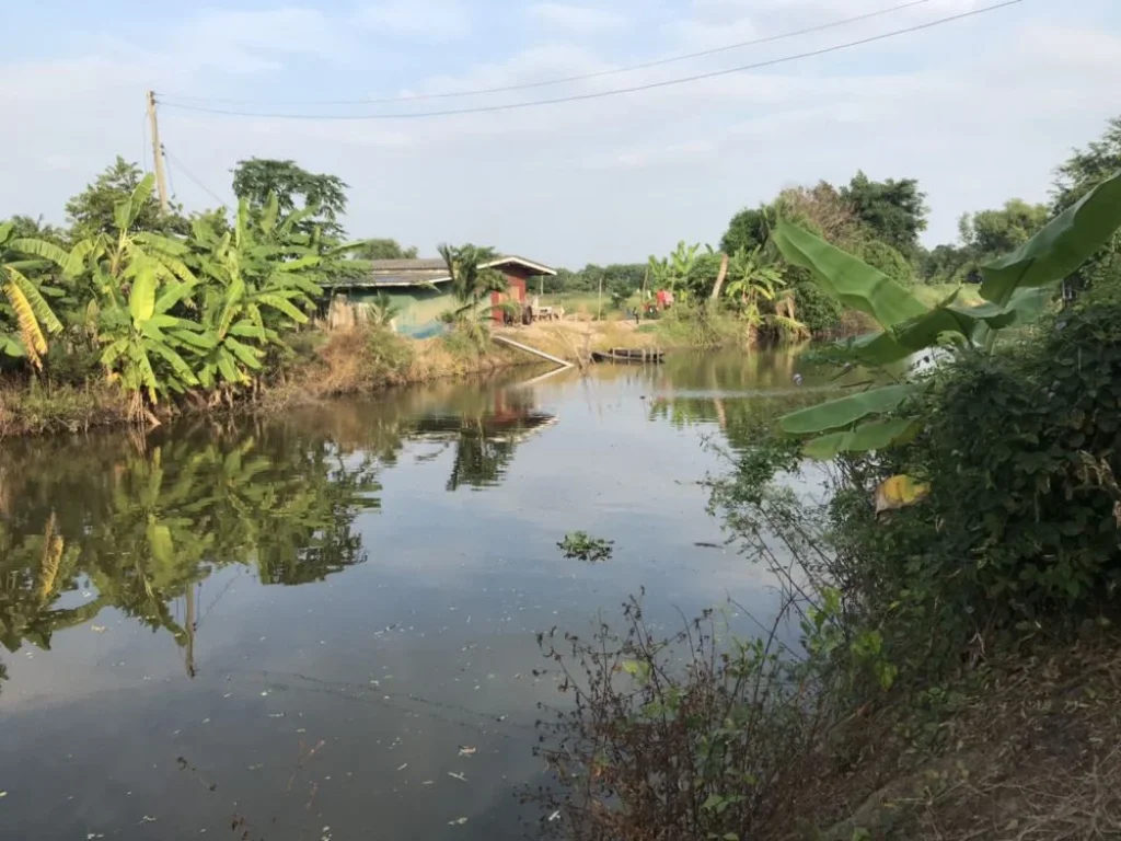 ขายที่ดินสวย สภาพแวดล้อมดี ทำเลดี บรรยากาศร่มรื่น เดินทางสะดวก เข้าออกได้หลายทาง ราคาต่อรองได้