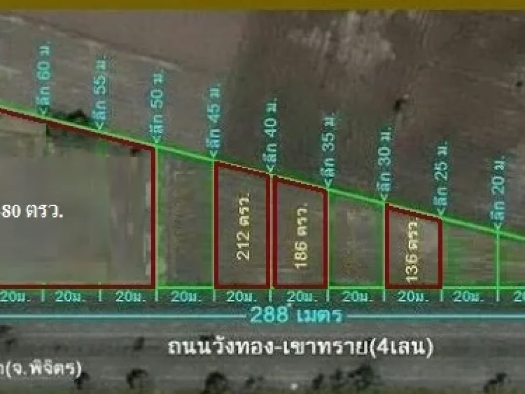 ขายที่ดิน เนินกุ่ม บางกระทุ่ม พิษณุโลก