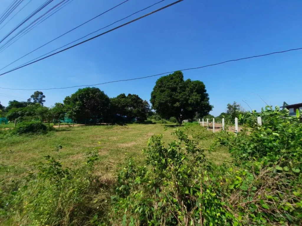 ขายที่ดิน 1 ไร่ ราคาไร่ละ 16 ล้านบาท ติดถนนคอนกรีตใกล้สี่แยกพนมสารคาม 7 กม อพนมสารคาม จฉะเชิงเทรา