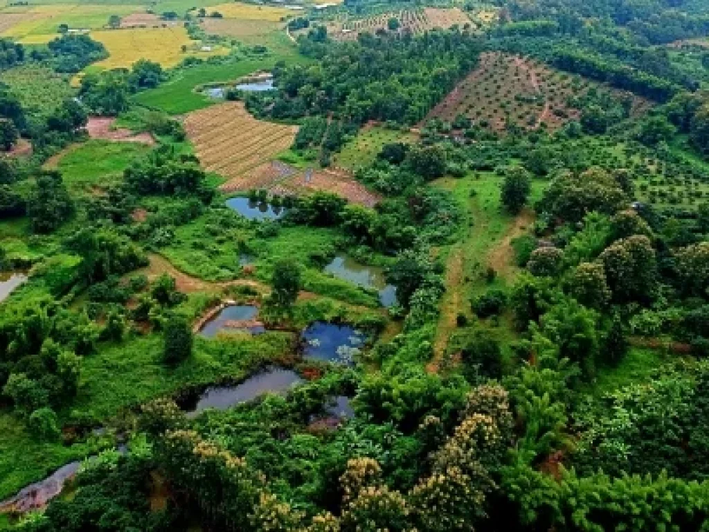 ขายที่ดิน ตำบลสะลวง อำเภอแม่ริม จังหวัดเชียงใหม่ ที่ดินวิวสวย