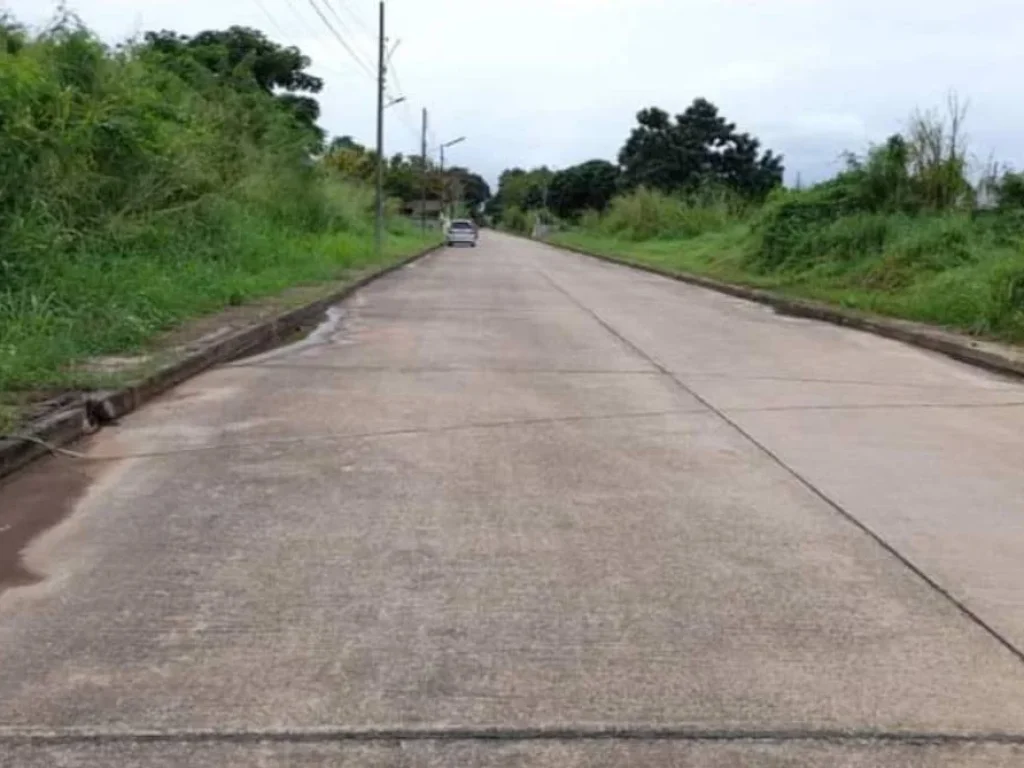 ขายถูก ที่ดินใกล้คลองบางใหญ่ 100ตรว ซวัดพระนอน เหมาะปลูกบ้าน