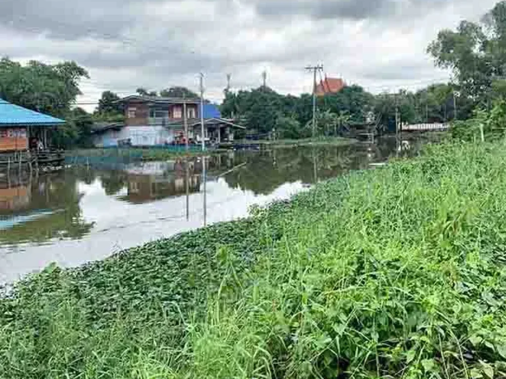 ขายถูก ที่ดินใกล้คลองบางใหญ่ 100ตรว ซวัดพระนอน เหมาะปลูกบ้าน