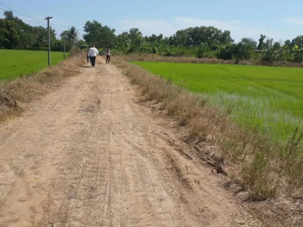 ขายที่ดิน ย่านสุวินทวงศ์ เขตหนองจอก กรุงเทพมหานคร