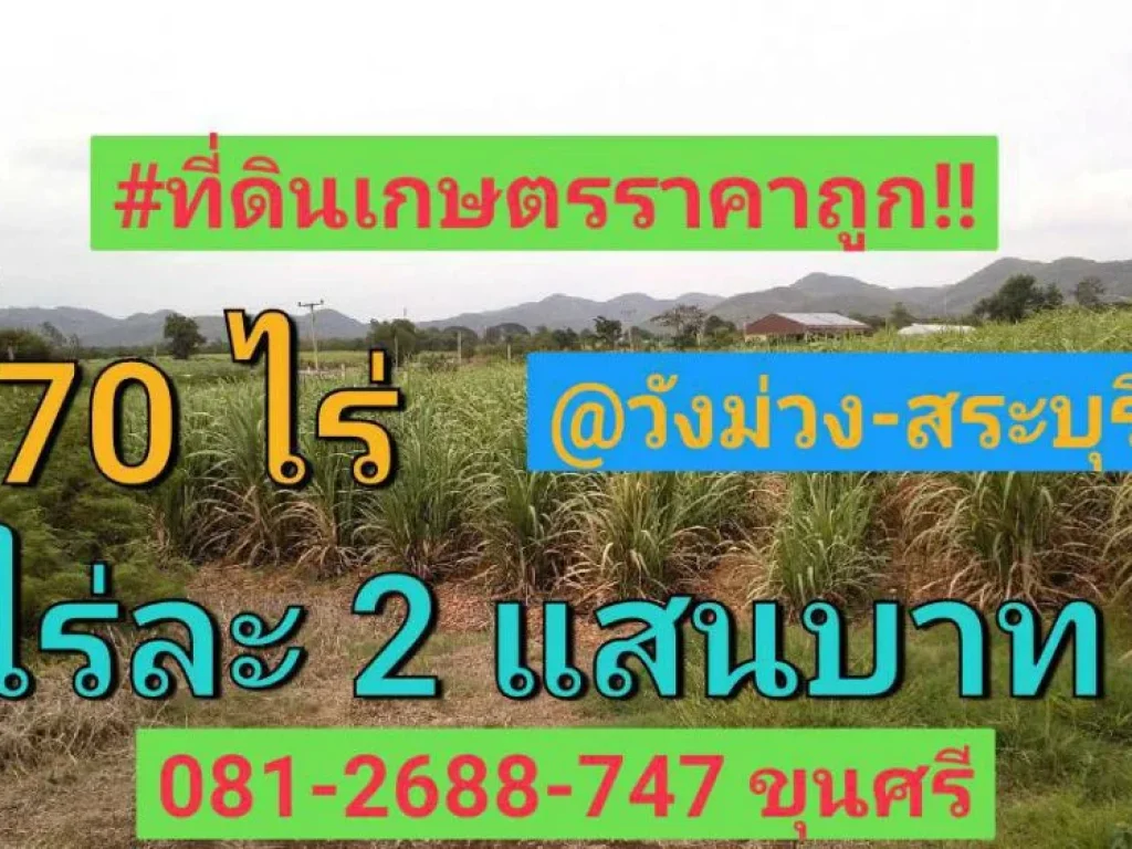 ที่ดินเกษตร 70 ไร่เศษ วิวภูเขา ราคาถูก ตำบล แสลงพัน วังม่วง สระบุรี