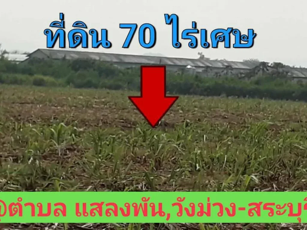 ที่ดินเกษตร 70 ไร่เศษ วิวภูเขา ราคาถูก ตำบล แสลงพัน วังม่วง สระบุรี